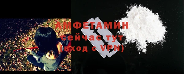 гидра Богородск