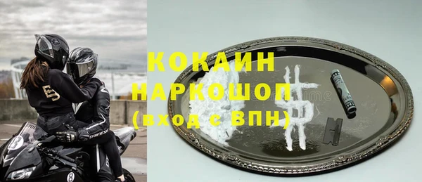 крисы Богородицк