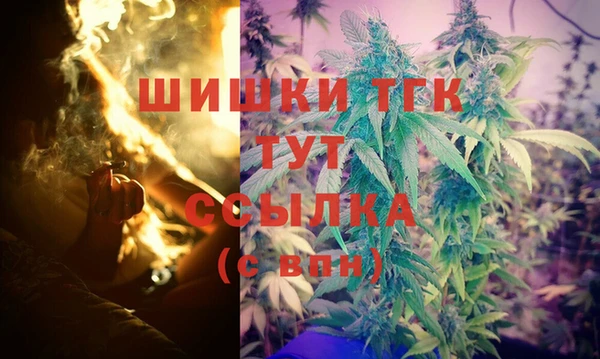 гидра Богородск
