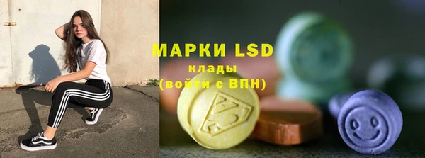 крисы Богородицк