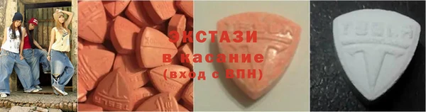 крисы Богородицк