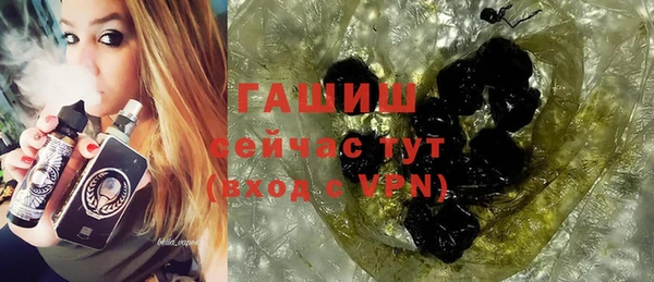гидра Богородск