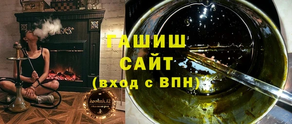 гидра Богородск