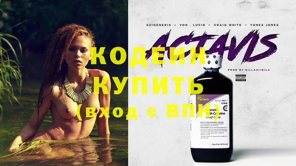 крисы Богородицк
