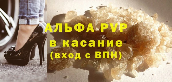 стафф Богданович