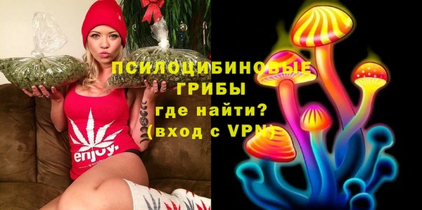 гидра Богородск