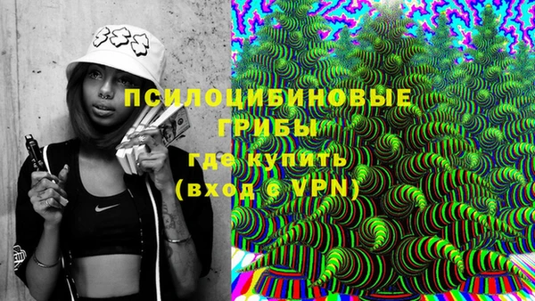 гидра Богородск