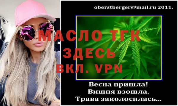 гидра Богородск