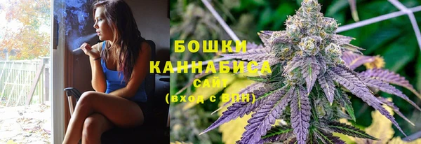 стафф Богданович