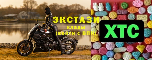 гидра Богородск