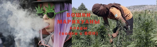 крисы Богородицк