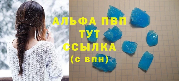 гидра Богородск