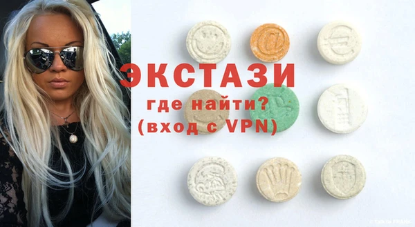 гидра Богородск