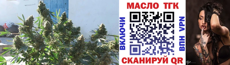 ТГК гашишное масло  hydra онион  Сланцы  где найти  