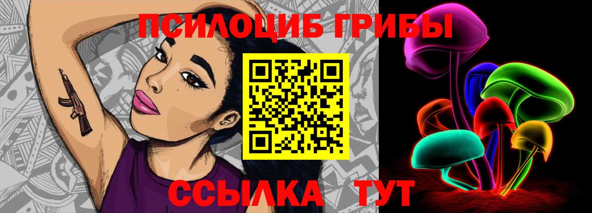 Псилоцибиновые грибы MAGIC MUSHROOMS  купить наркоту  Сланцы  Псилоцибиновые грибы мицелий  Вход с VPN 