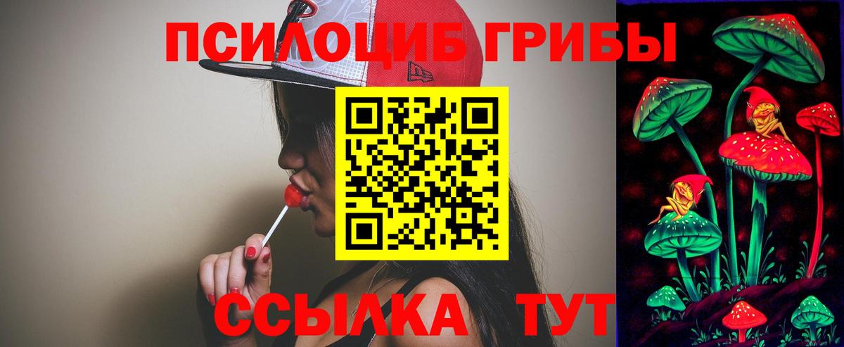 Галлюциногенные грибы мицелий Сланцы